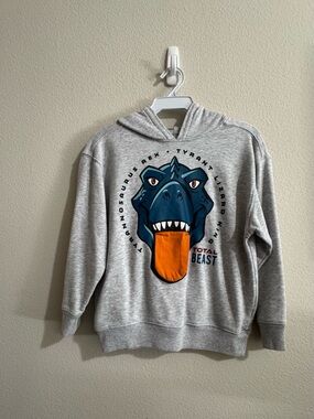 365 Kids from Garanimals Boys Dinosaur Graphic Hoodie, Sz 10